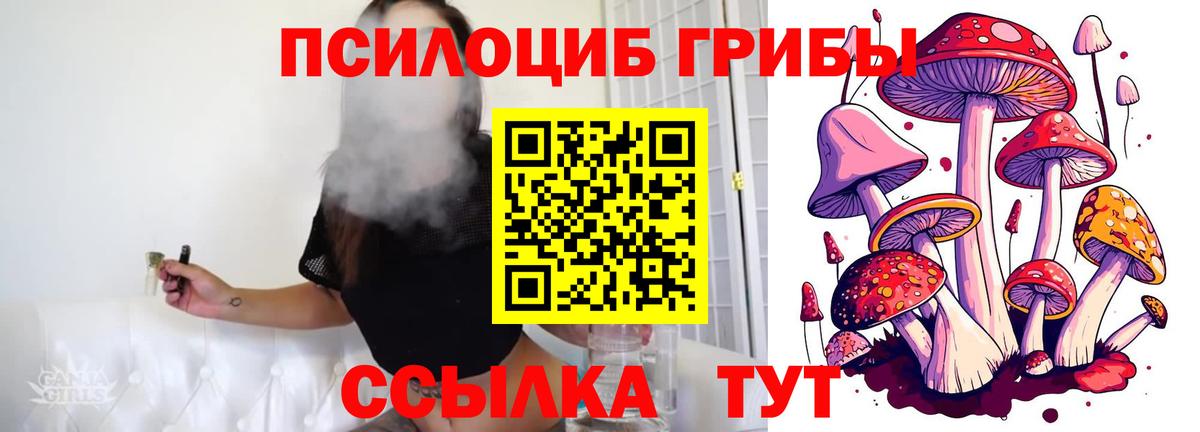 Галлюциногенные грибы прущие грибы Анжеро-Судженск